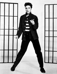 Elvis Presley headshot
