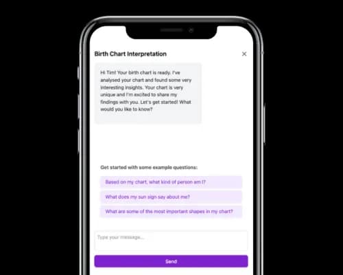 AI Astrologer Interface